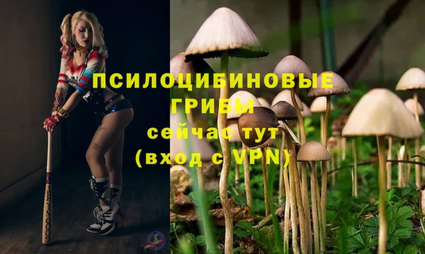 тгк Алексеевка