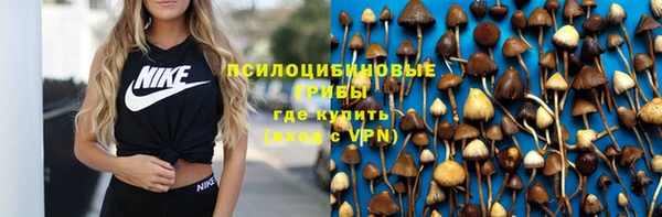 тгк Алексеевка