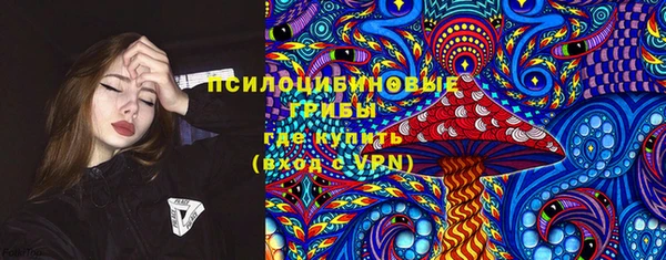 тгк Алексеевка